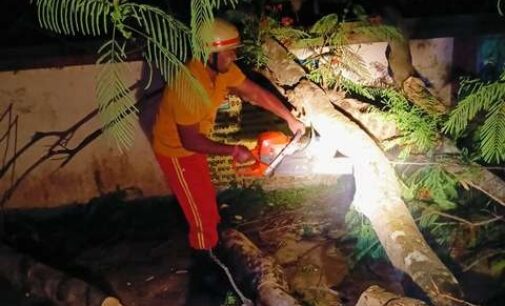 TPNODL Swiftly Responds to Kalbaisakhi Devastation, Ensures Rapid Power Restoration