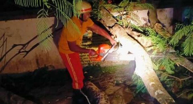 TPNODL Swiftly Responds to Kalbaisakhi Devastation, Ensures Rapid Power Restoration