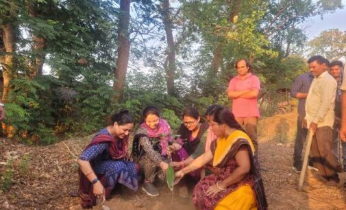 ବୌଦ୍ଧରେ ବିଶ୍ବ ଧରିତ୍ରୀ ଦିବସ ଅବସରରେ ବୃକ୍ଷ ରୋପଣ କାର୍ଯ୍ୟକ୍ରମ ଅନୁଷ୍ଠିତ