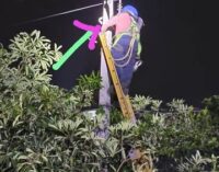 TPNODL’s Proactive Response to Kalbaisakhi; Ensures Minimal Disruption