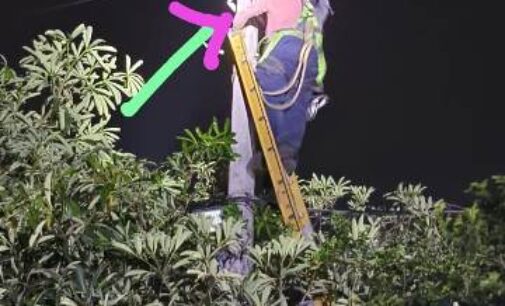 TPNODL’s Proactive Response to Kalbaisakhi; Ensures Minimal Disruption