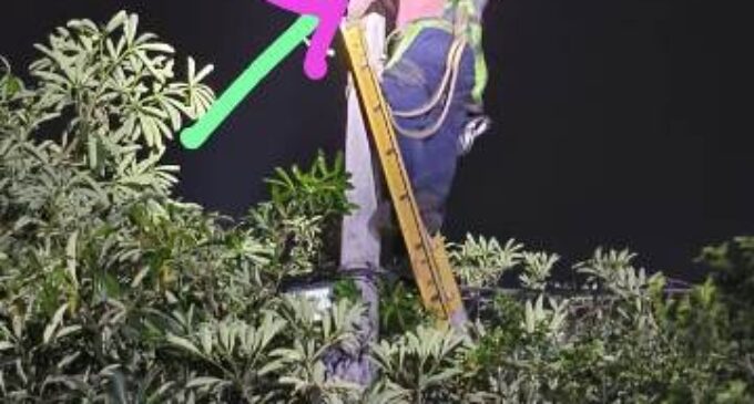 TPNODL’s Proactive Response to Kalbaisakhi; Ensures Minimal Disruption