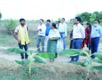 ଖୋର୍ଦ୍ଧା ଜିଲ୍ଲା ଉନ୍ନୟନ ତଦାରଖରେ ଥିବା ପ୍ରମୁଖ ଶାସନ ସଚିବ ଶ୍ରୀମତୀ ଚିତ୍ରା ଅରୁମୁଗମ ବେଗୁନିଆ ବୋଲଗଡ଼ ବ୍ଲକ ପରିଦର୍ଶନ