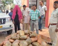 ଖୋର୍ଦ୍ଧାରେ ୨୦୦ କେଜି ରୁ ଅଧିକ ଗଞ୍ଜେଇ ଜବତ ,ଦୁଇ ଗିରଫ