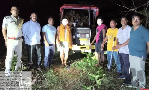Illegally harvested timber seized during night patrolling in Balangir forests