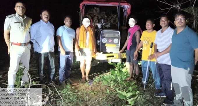 Illegally harvested timber seized during night patrolling in Balangir forests