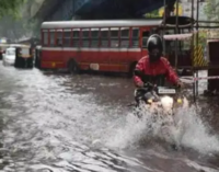 ‘Red’ alert in Mumbai as heavy rains wreak havoc, disrupting flight, train services; traffic hit due to waterlogging