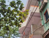 TPSODL issues 1,229 Notices for Power Line Encroachments