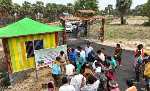 ବୌଦ୍ଧ ଜିଲ୍ଲା ସ୍ତରୀୟ ବିଶ୍ବ ରେଡକ୍ରସ ଦିବସ ପାଳିତ