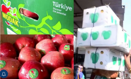 ତୁର୍କୀକୁ ମହଙ୍ଗା ପଡ଼ିଲା ପାକିସ୍ତାନ ପ୍ରୀତି: ଓଡ଼ିଶାରେ ବି ବ୍ୟାନ୍ ହେଲା ତୁର୍କୀ ସାମଗ୍ରୀ