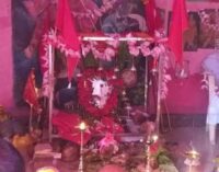 କୁଟାସିଂହାର ମା ଅଭୟା କାଳୀ ଙ୍କ ପୂଜା ଆରମ୍ଭ,୭ ଦିନ ଧରି ପୂଜା ହେବ