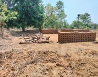 ବଲାଙ୍ଗିର ସହର ଆଖପାଖ ଗ୍ରାମ ନିକଟ ଜମି ମାନଙ୍କରେ ଚାଲିଛି କାଠରେ ଇଟା ପୋଡ଼ା,ଜଙ୍ଗଲ ରହିବ ତ?