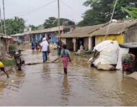 Subarnarekha flood fury maroons over 50,000 in Odisha’s Balasore