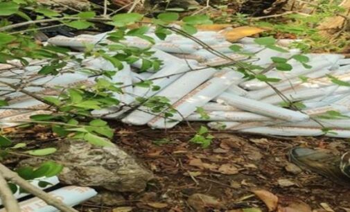 ସରଣ୍ଡା ଜଙ୍ଗଲରୁ ପୁଣି ମିଳିଲା ୭୦୦ କେଜିର ବିସ୍ପୋରକ, ଏବେବି ଚାଲିଛି ସର୍ଚ୍ଚ ଅପରେସନ