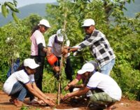 Vedanta Lanjigarh launches mega plantation drive to plant more than 1 lakh trees across Kalahandi and Rayagada districts