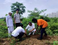 IPRCL Observes 11th International Day of Yoga Across Its Offices in Odisha