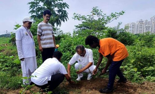 IPRCL Observes 11th International Day of Yoga Across Its Offices in Odisha