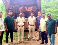 Four vehicles seized in timber smuggling crackdown in Balangir