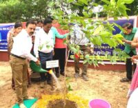 Paradip Port Authority Observes World Environment Day 2025
