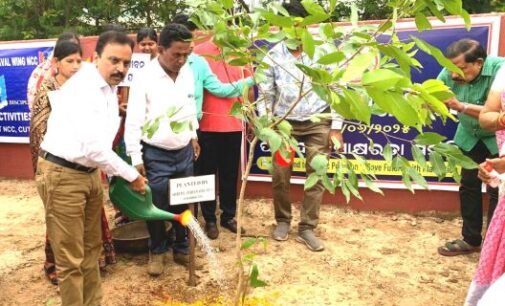 Paradip Port Authority Observes World Environment Day 2025