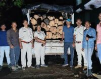 ବଲାଙ୍ଗୀର ବନ ବିଭାଗ ର ତୁହାକୁ ତୁହା ଚୋରା କାଠ ଚାଲାଣ ଧର ପଗଡ