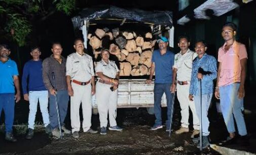 ବଲାଙ୍ଗୀର ବନ ବିଭାଗ ର ତୁହାକୁ ତୁହା ଚୋରା କାଠ ଚାଲାଣ ଧର ପଗଡ