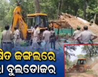 ସଂରକ୍ଷିତ ଜଙ୍ଗଲରେ ଘର ନିର୍ମାଣ କରିଥିଲେ ମାଫିଆ, ଜବରଦଖଲ ଉଚ୍ଛେଦ କଲା ବନ ବିଭାଗ