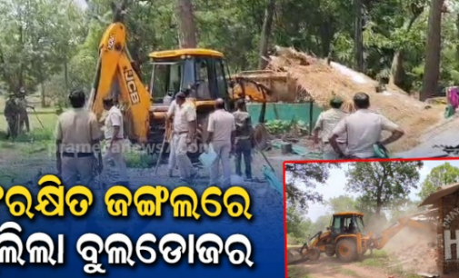 ସଂରକ୍ଷିତ ଜଙ୍ଗଲରେ ଘର ନିର୍ମାଣ କରିଥିଲେ ମାଫିଆ, ଜବରଦଖଲ ଉଚ୍ଛେଦ କଲା ବନ ବିଭାଗ