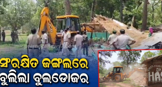 ସଂରକ୍ଷିତ ଜଙ୍ଗଲରେ ଘର ନିର୍ମାଣ କରିଥିଲେ ମାଫିଆ, ଜବରଦଖଲ ଉଚ୍ଛେଦ କଲା ବନ ବିଭାଗ