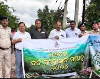 Noble Mission: Van Mahotsav Celebrated at Balaji Nursing College