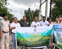 ବାଲାଜୀ ନର୍ସିଂ କଲେଜରେ ବନମହୋତ୍ସବ ପାଳିତ