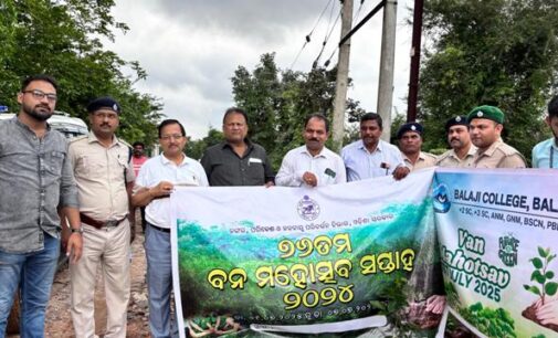 ବାଲାଜୀ ନର୍ସିଂ କଲେଜରେ ବନମହୋତ୍ସବ ପାଳିତ