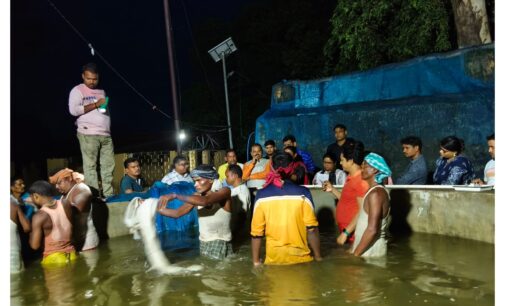 ଜିଲ୍ଲା ମତ୍ସ୍ୟ ଫାର୍ମ ଠାରେ ମାଛ ଜାଆଁଳ ଉତ୍ପାଦନ ନିମନ୍ତେ କୃତ୍ରିମ ପ୍ରଜନନ ଅନୁଷ୍ଠିତ, ଯୋଗଦେଲେ ବିଧାୟକ ତଥା ମୁଖ୍ୟ ସଚେତକ