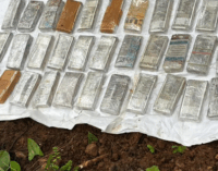 Security forces recover Rs 35 lakh cash hidden underground by Maoists in Chaibasa jungles