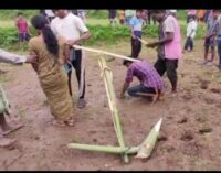 ପ୍ରେମ ପାଇଁ ଅକଥନୀୟ ଯନ୍ତ୍ରଣା: ବଳଦ ହୋଇ ଚଷିବା ଘଟଣାରେ ପ୍ରଶାସନିକ ତଦନ୍ତ ଆରମ୍ଭ