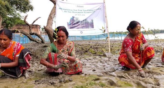 Finding the right spot: Reliance Foundation develops holistic approach to identify mangrove plantation sites