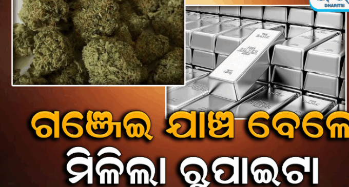 ଚାଲିଥିଲା ଗଞ୍ଜେଇ ରେଡ୍ ମିଳିଲା କୋଟିଏ ଟଙ୍କାର ରୁପାଇଟା