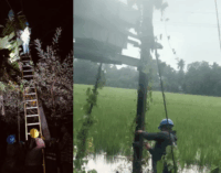 Tata Power-Led Odisha DISCOMs Strengthen Monsoon Preparedness; 15,000-Strong Workforce Mobilised