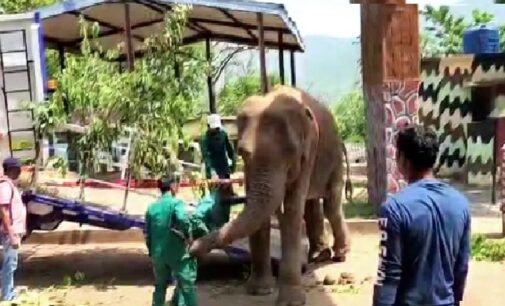 Odisha deploys first state-of-the-art elephant transport truck