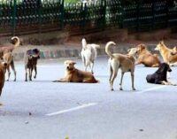 ଆରମ୍ଭ ହେଲା କୁକୁର ଗଣନା, ଗଣନା ପ୍ରକ୍ରିୟାରେ ସାମିଲ ହୋଇଛନ୍ତି ୪୧୦ ଟି ଟିମ୍‌