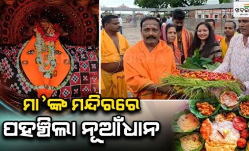 ନୂଆଁଖାଇ ପାଇଁ ଆରମ୍ଭ ହୋଇଛି ପ୍ରସ୍ତୁତି, ମା’ ସମଲେଇଙ୍କ ମନ୍ଦିରକୁ ଆସିଲା ନୂଆ ଧାନ