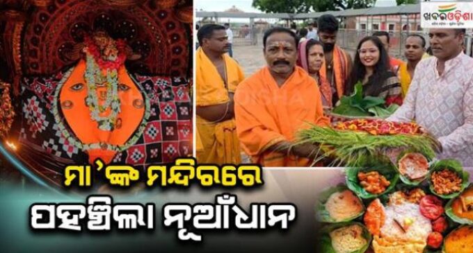 ନୂଆଁଖାଇ ପାଇଁ ଆରମ୍ଭ ହୋଇଛି ପ୍ରସ୍ତୁତି, ମା’ ସମଲେଇଙ୍କ ମନ୍ଦିରକୁ ଆସିଲା ନୂଆ ଧାନ