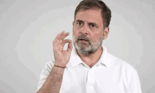 Cruel, shortsighted: Rahul Gandhi slams Supreme Court’s order on stray dogs