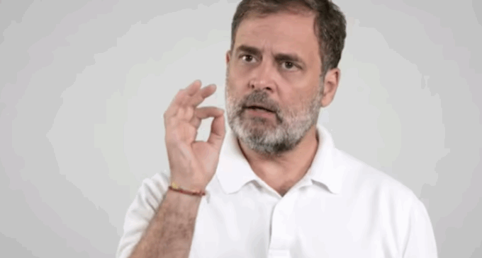 Cruel, shortsighted: Rahul Gandhi slams Supreme Court’s order on stray dogs