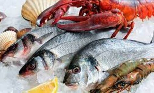 US slaps total 59.73% tariff on Seafood export created panic among policy makers and exporters