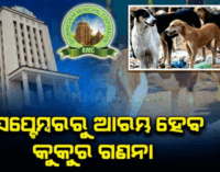 ସେପ୍ଟେମ୍ବରରୁ ବିଏମସି କୁକୁର ଗଣିବ