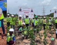 AM/NS India organises massive plantation drive across Odisha locations for Ek Ped Maa ke Naam 2.0