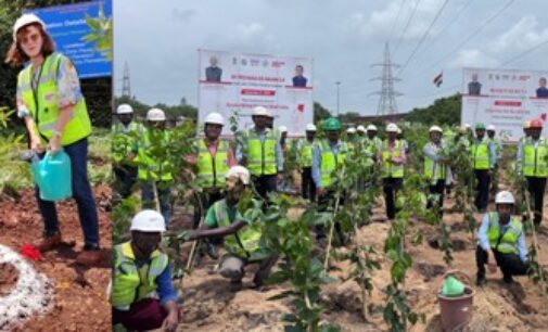 AM/NS India organises massive plantation drive across Odisha locations for Ek Ped Maa ke Naam 2.0