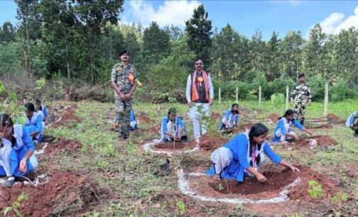 ପ୍ରଧାନମନ୍ତ୍ରୀଙ୍କ ଜନ୍ମ ଦିନରେ ଏକ ଦିବସୀୟ ସାମୁହିକ ବୃକ୍ଷରୋପଣ