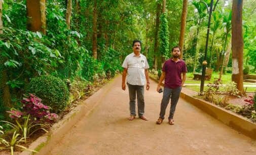 ଉନ୍ନୟନ ଟ୍ରଷ୍ଟ ହାତରେ ଦାରିଙ୍ଗବାଡି ର କଫି ବଗିଚା: ଅଧିକ ପର୍ଯ୍ୟଟକଙ୍କ ପରିଭ୍ରମଣ